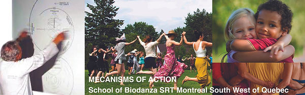 17M_EN_2024_bandeau_MECANISMOFACTION copie.jpg