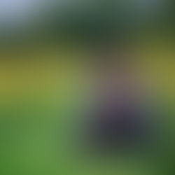 Breath Meditation (6 minute audio) by Lauren Barber