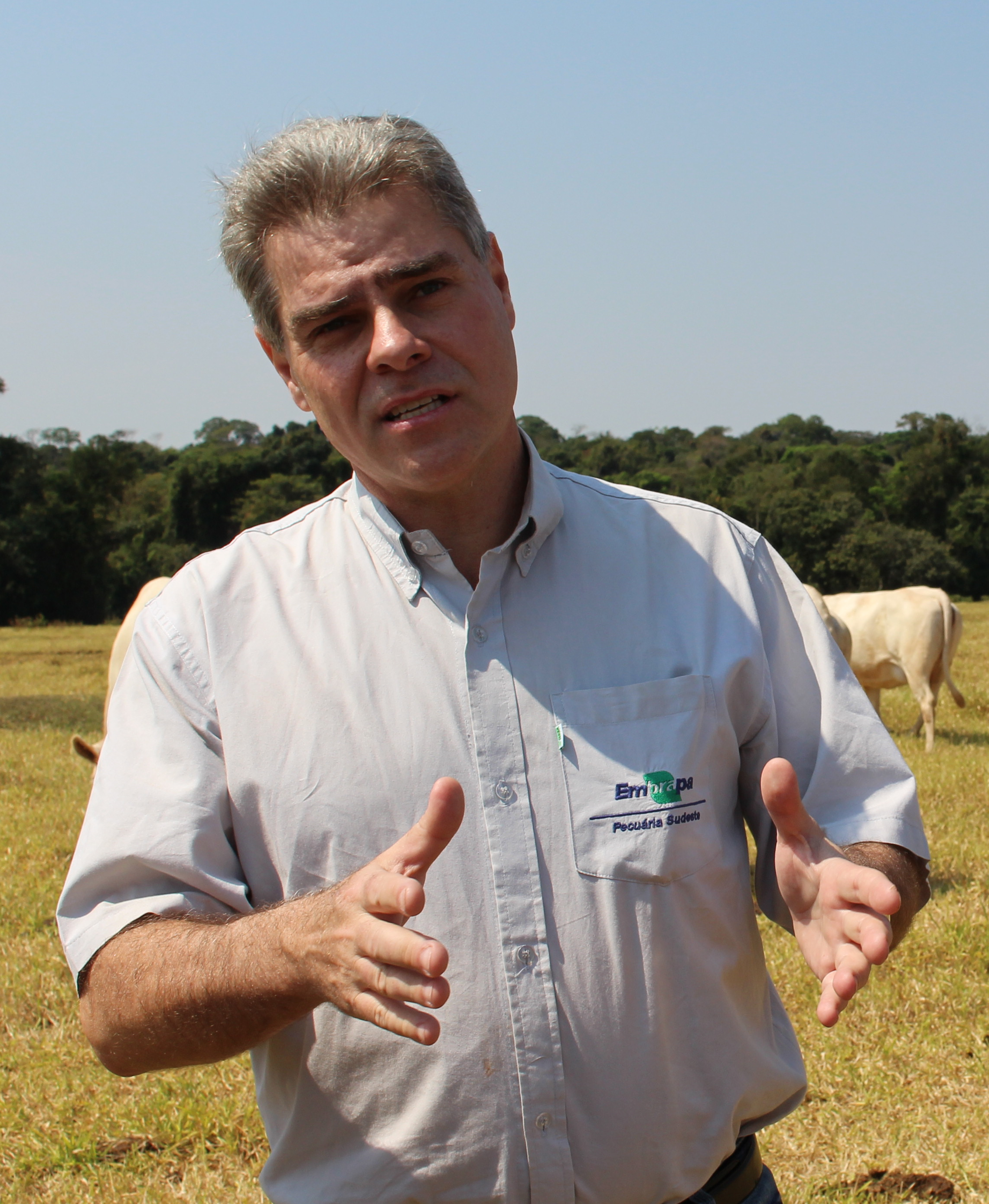 Phd Dr. Rui Machado