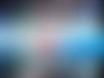 Systeem Risico Indicatie (SyRi)