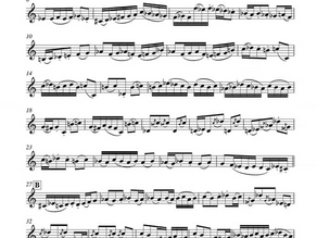 Pro-Cornet by Roberto Farias