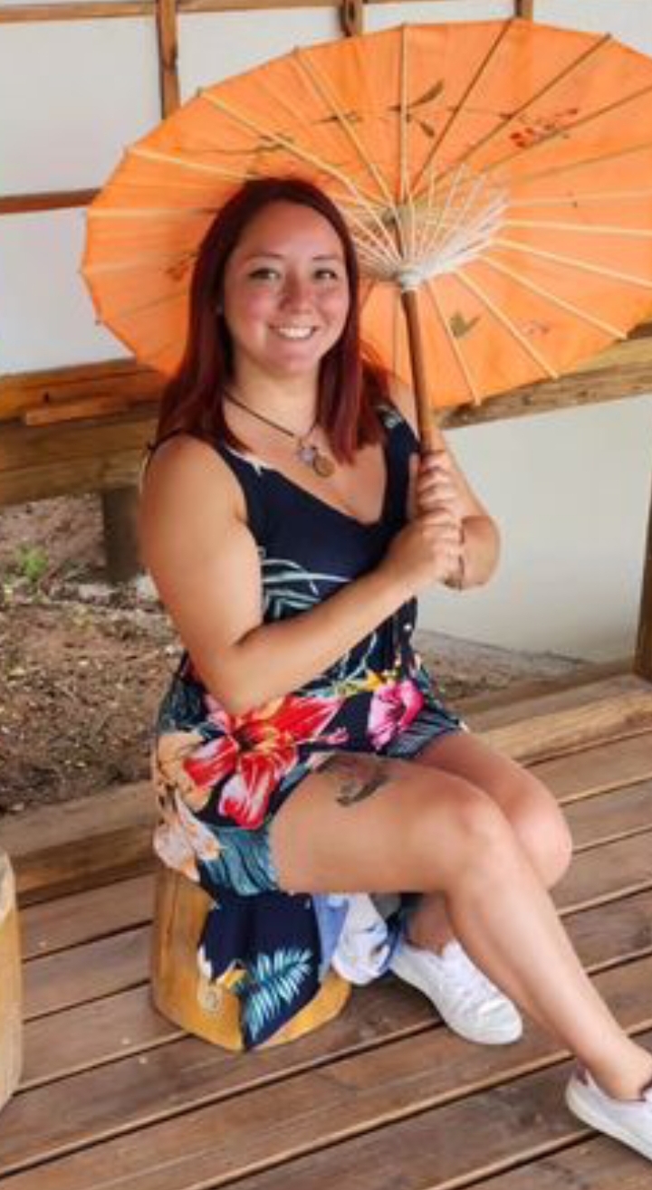 An image showing the user input