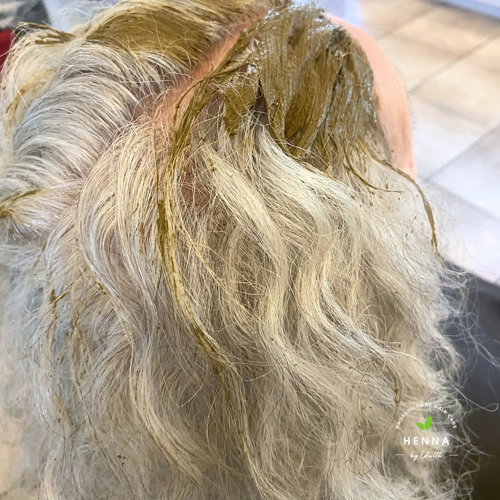 Thumbnail: Lightest Blonde Kit (100g)