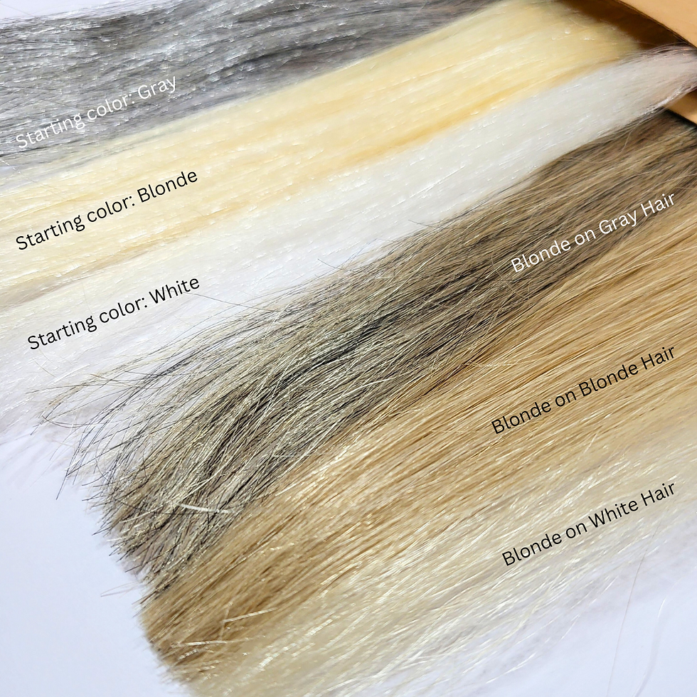 Thumbnail: Lightest Blonde Kit (100g)