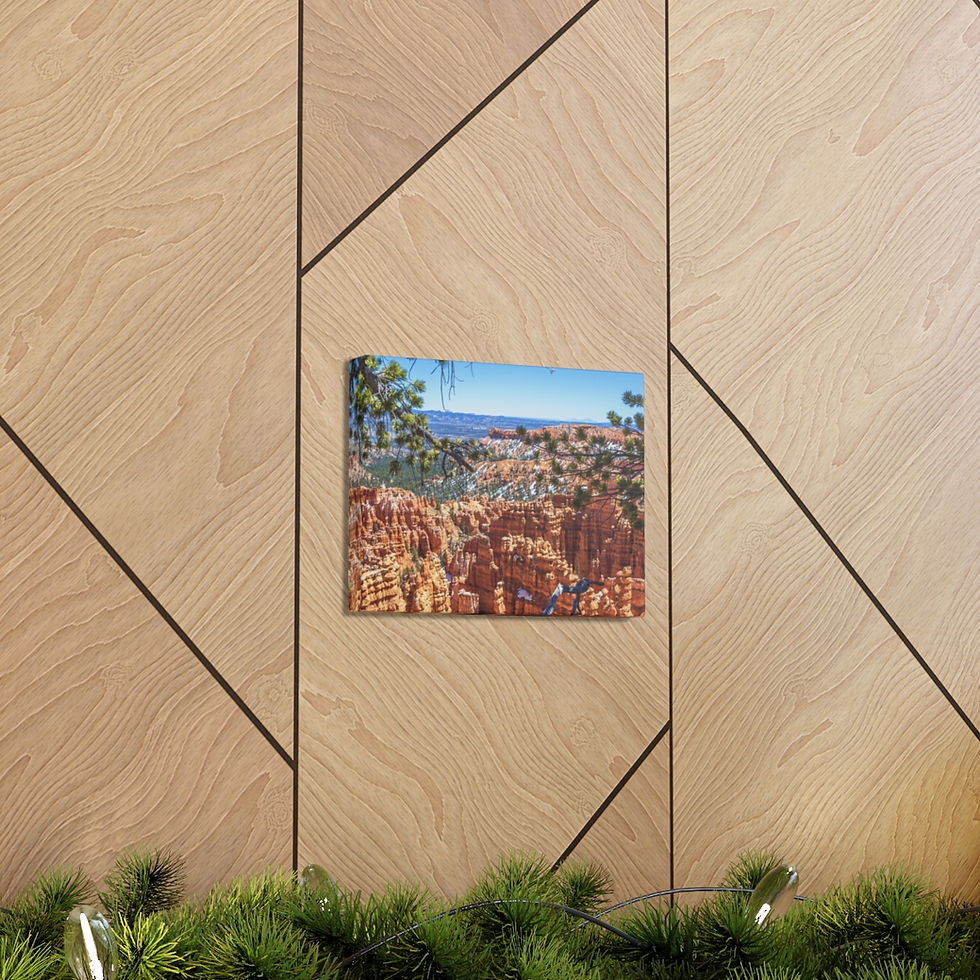 Thumbnail: Bryce Canyon Piney Window