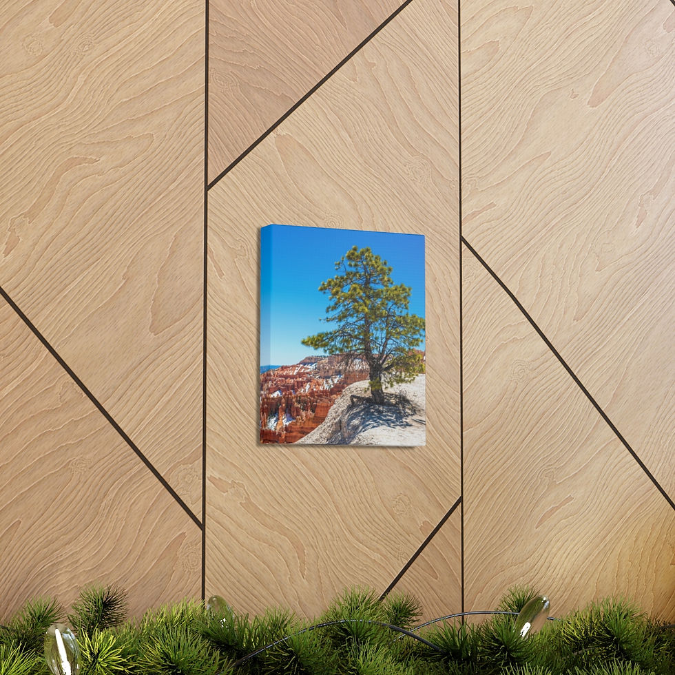 Thumbnail: Bryce Canyon Piney Edge
