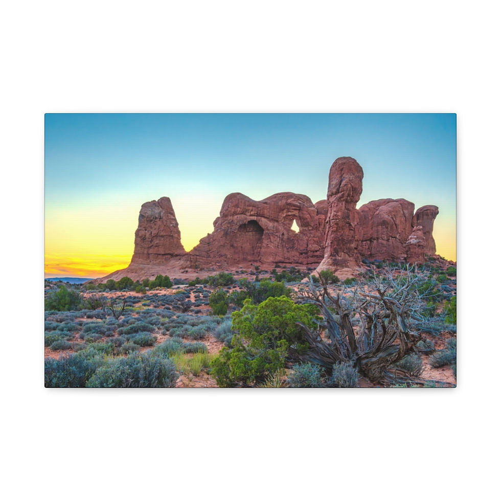 Thumbnail: Arches National Park Evening Glow