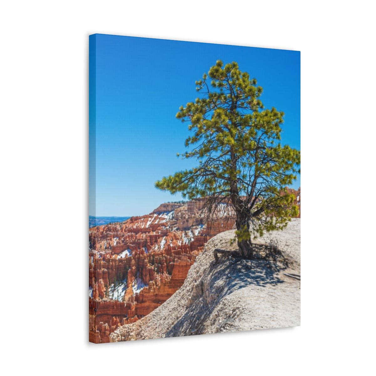 Bryce Canyon Piney Edge