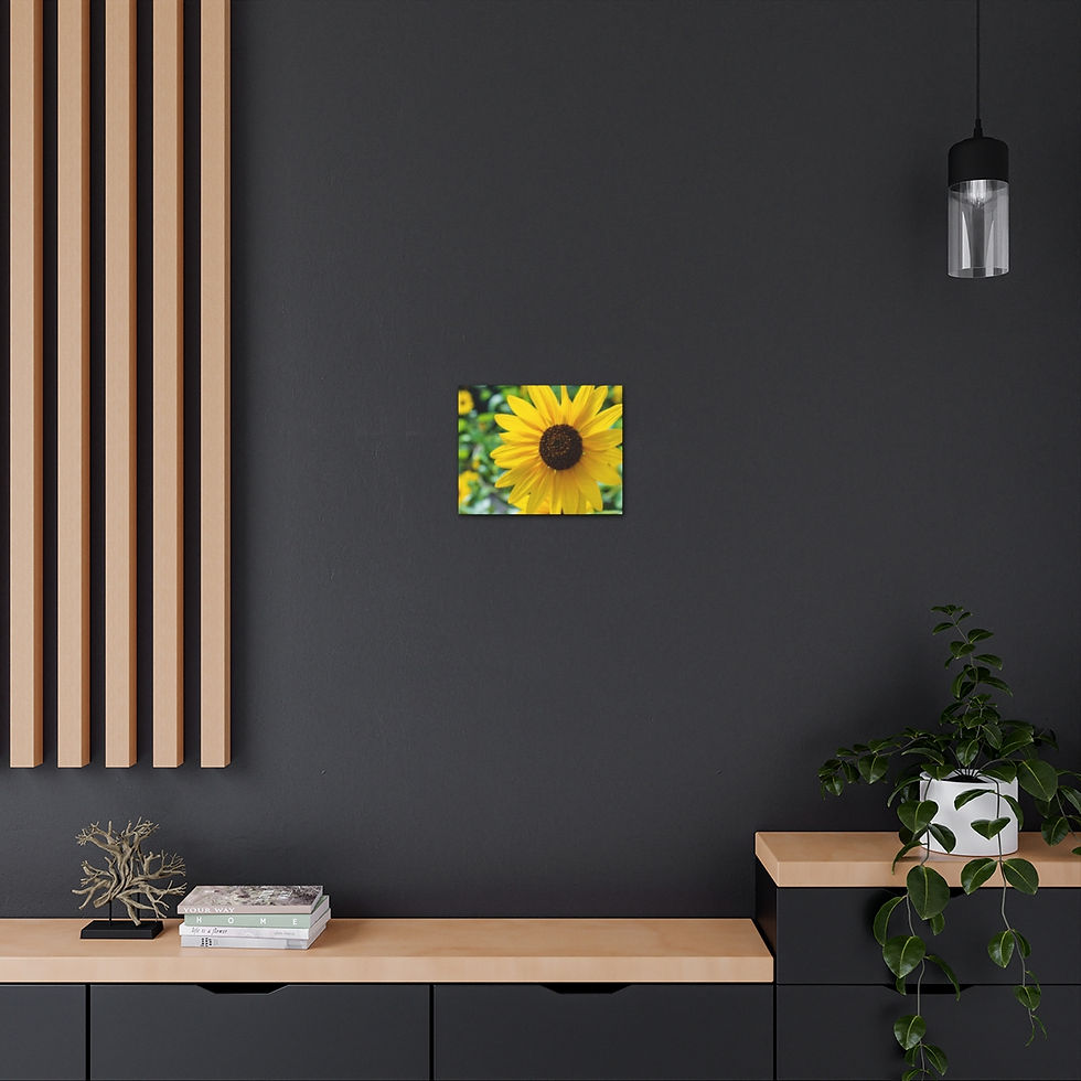 Thumbnail: Wild Sunflower of New Mexico