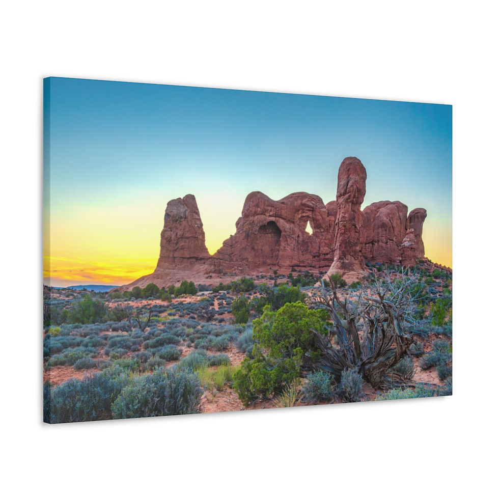 Thumbnail: Arches National Park Evening Glow