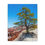 Thumbnail: Bryce Canyon Piney Edge