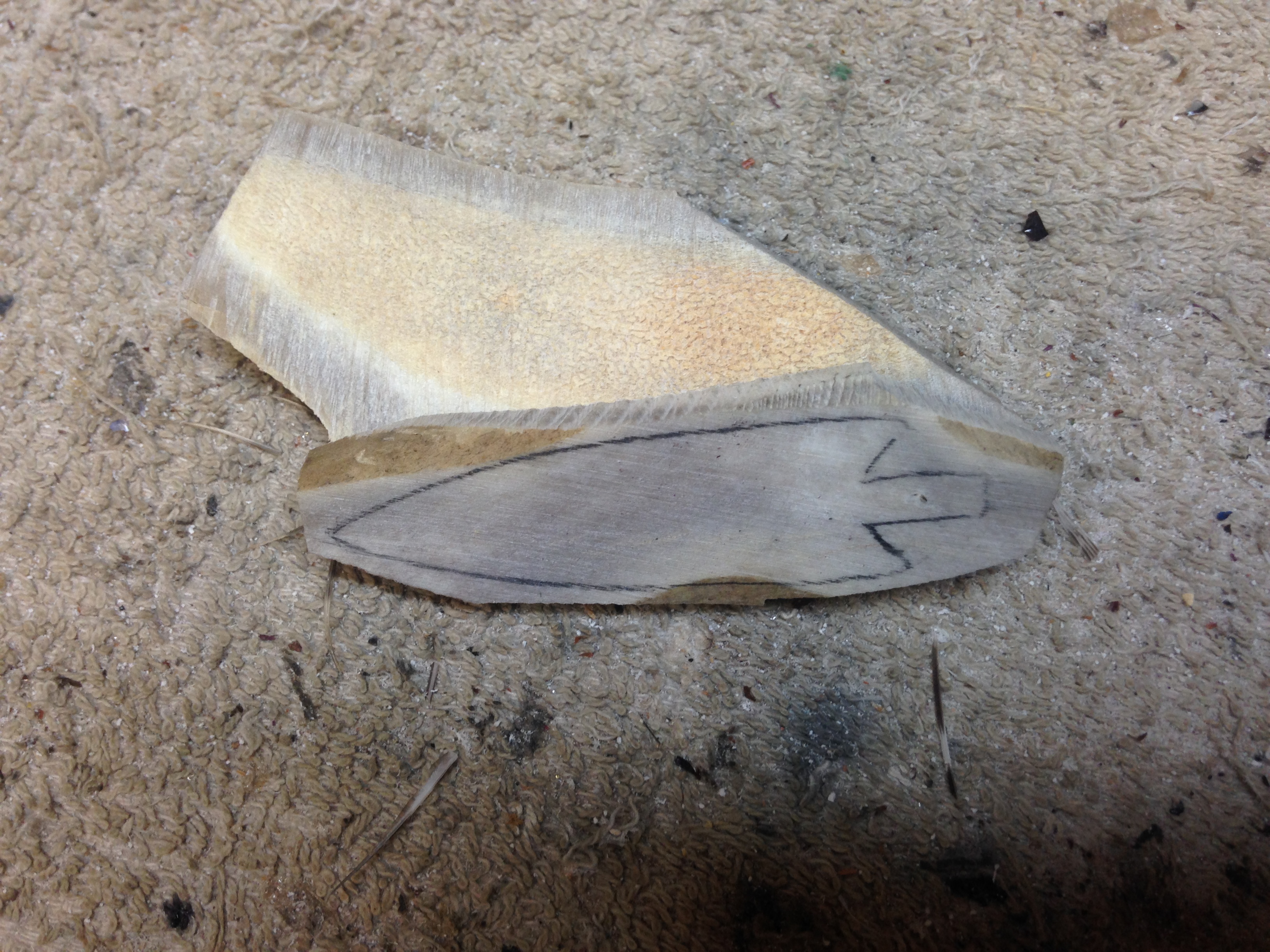 Antler Point Blank
