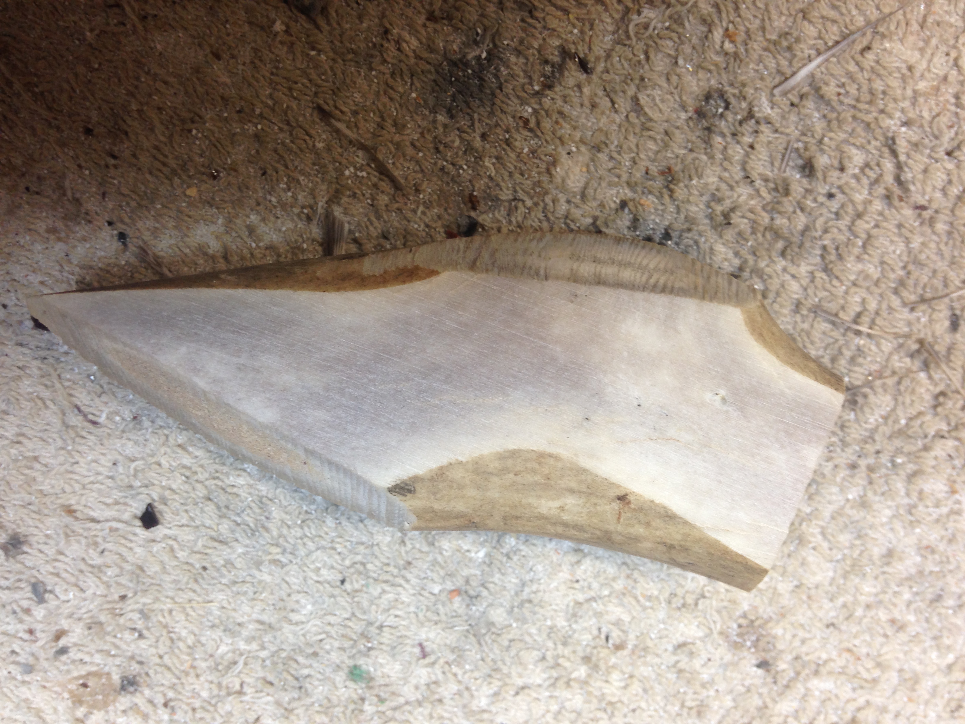 Small Flat section of Antler