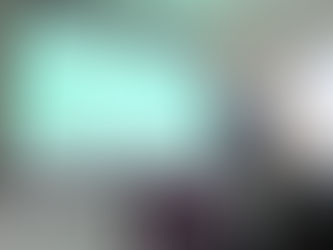 Congratulations to Binbin Lin for passing the prelim exam