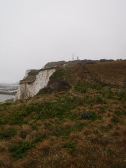 DSCF2151