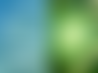 Magnesium in Plant Physiology and Fertilization- A Key Secondary Nutrient for Plant Health