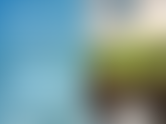 EDTA-ZnNa₂: A Versatile Zinc Chelate