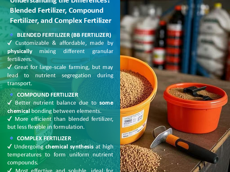 Understanding the Differences: Blended Fertilizer, Compound Fertilizer, and Complex Fertilizer