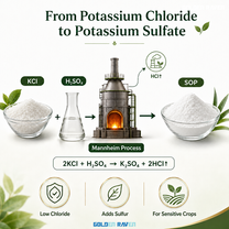From Potassium Chloride to Potassium Sulfate