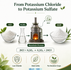 From Potassium Chloride to Potassium Sulfate