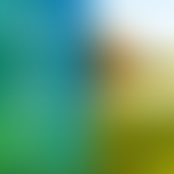 Grunddüngung, Saatbett¬düngung, Auflaufdüngung und Kopfdüngung – Kennen Sie die Unterschiede?