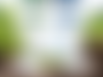 Urea vs. CAN: How Nitrogen Form Changes Fertilizer Performance