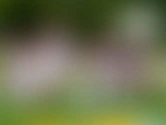 Something’s got to give