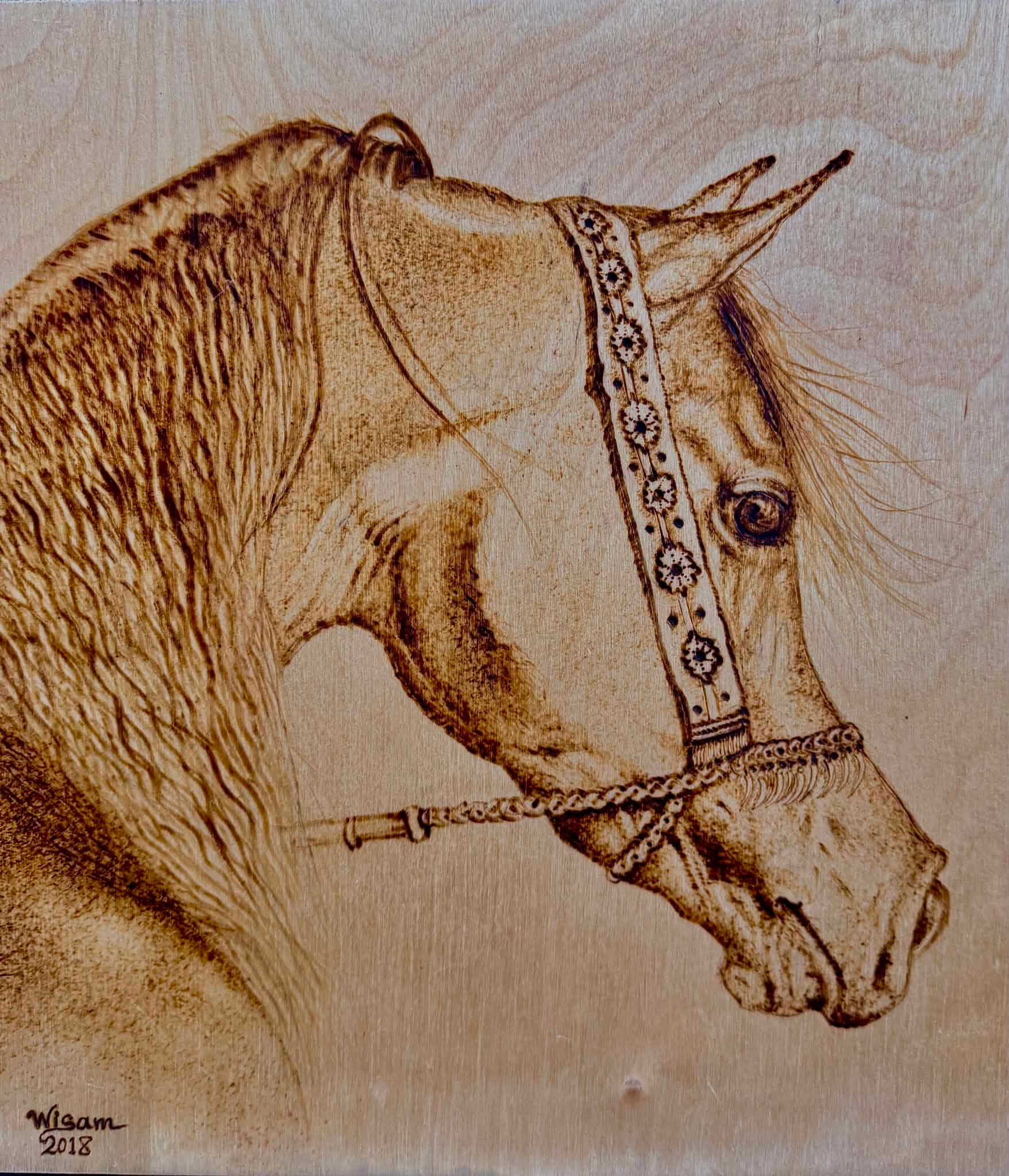 Horse Head Wood Burning Artwork (Pyrography)