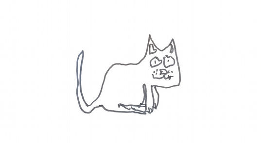 IMG_0294.jpeg