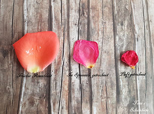 Rosenblüten Brautstrauß Schmuck