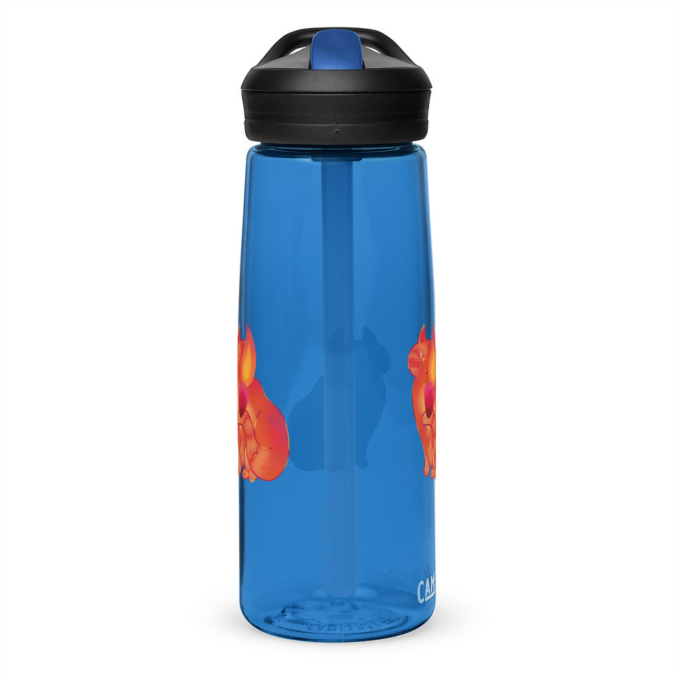 Sports water bottle