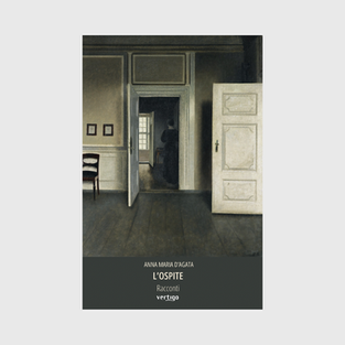 Copertina di "L'Ospite", Racconti di Anna Maria D'Agata, pubblicati per l'editore romano Vertigo