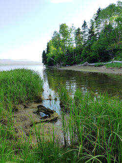 Rivière Saint Jean.JPG