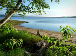Derrière la plage de Haldimand