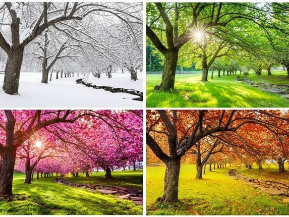 The Seasons of Daily Life