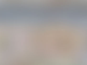 ¨Muffins moelleux aux myrtilles¨