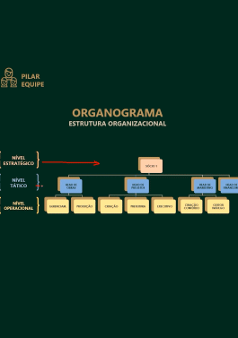 ORGANOGRAMA.gif