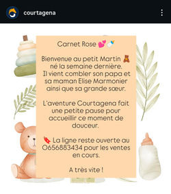 instagram_courtagena_carnet_rose