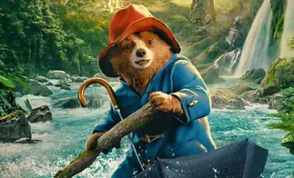 Paddington in Peru