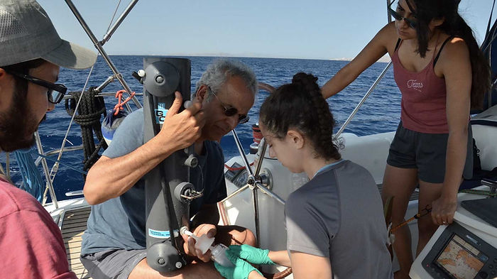 hrimfare_expeditions_EastMedExpedition.jpg