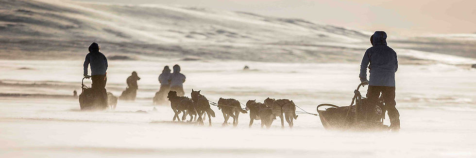 bertoft_fjallravenpolar_1500x500.jpg