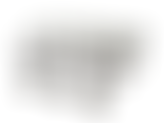 SMOKE GREY CORDIAL GLASSES (12) $225