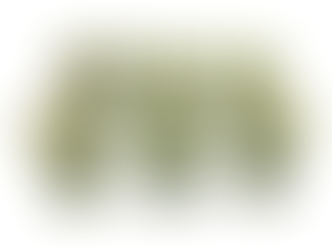 *** SOLD***GREEN HANDBLOWN DESSERT GLASSES (6) $135