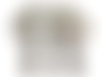 SMOKE GREY WATER GLASSES (12) $225