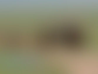 Хойд бүсийн хурдан морины уралдааныг цуцаллаа