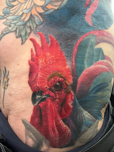 Tatuaje realismo color Barcelona. Tatuaje de animales. Tatuaje de gallo