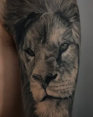 Tatuaje realismo Leon. Leon tatuaje realista. Tatuaje realismo Barcelona. Tatuaje realista de leon