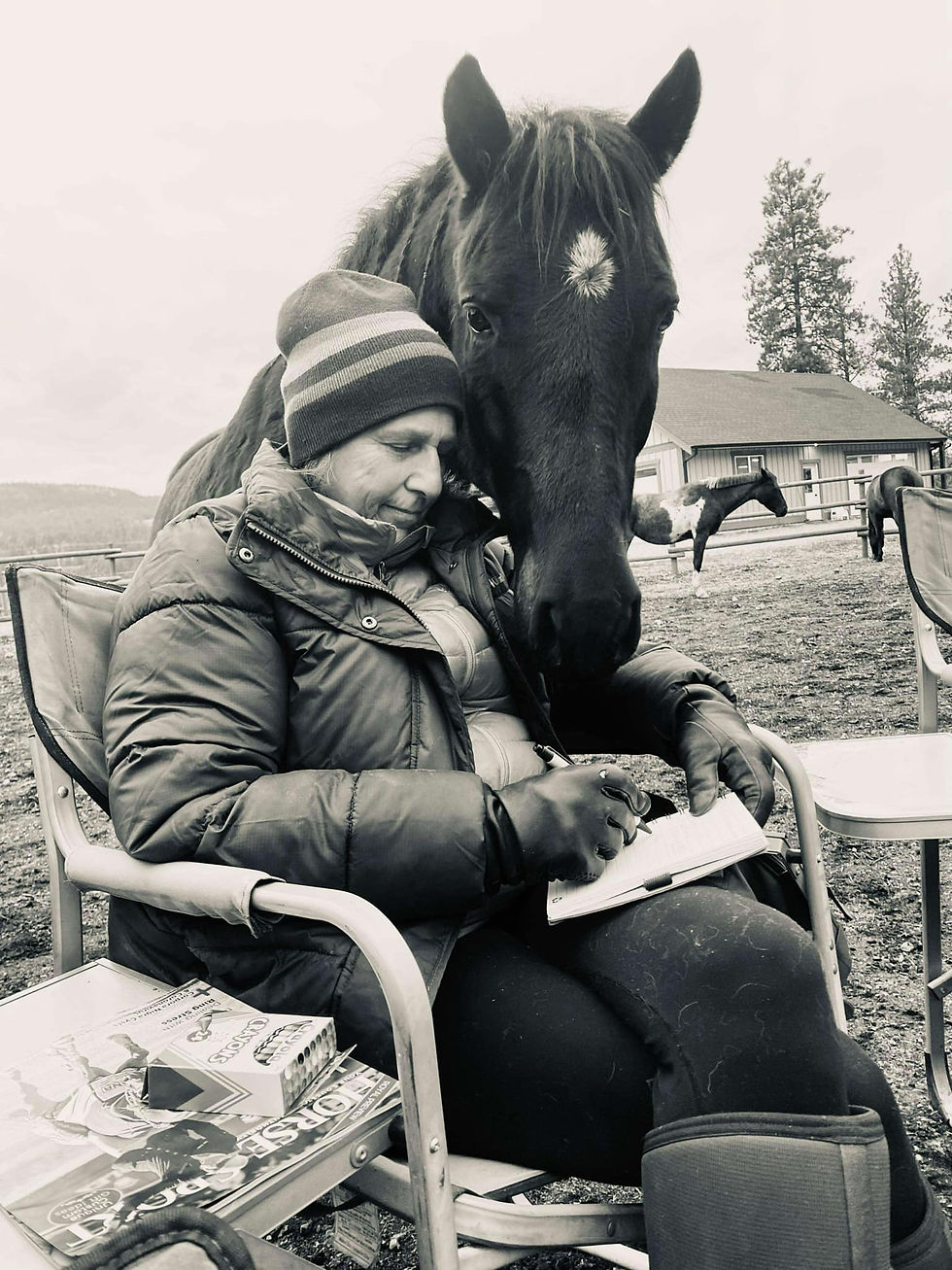 231af347-b9cc-4afc-a992-58f42c2737b9