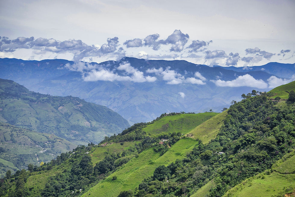 Ecotourspuravida+ecotours+ecotourism+Cali+Colombia+Birdwatching+Hiking+Nature+Walks+Botany