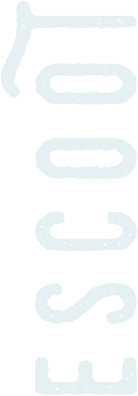 4-texte vertical a_propos.webp